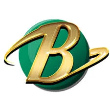 bumi303 APK ARPG